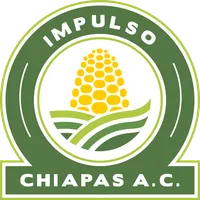 Impulso Chiapas icon