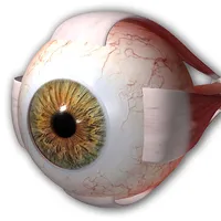 Oftalmología 3D icon