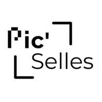 Pic'Selles icon