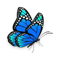 Pikupu - Dried Insects Dealer  icon