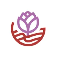 SDF Vidya icon