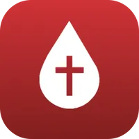 IBER icon