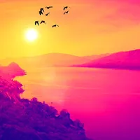 Sunset Birds Video Wallpaper icon