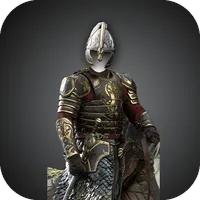 Knight armor suit photomontage icon