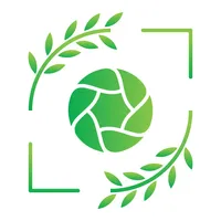 Scouts icon