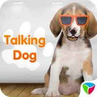 Talking Dog Talk & Funny icon