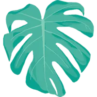 RIPE icon