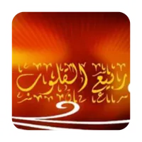 Rabee Al Qloub icon
