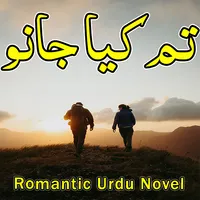 Tum Kiya Janu - Romantic Novel icon