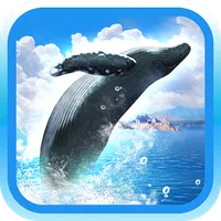 REAL WHALES Find the cetacean! icon