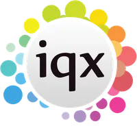 iqxWEB Demo icon