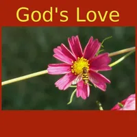 God's Love -Quotes&Meditations icon