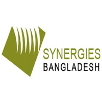 Synergies BD icon