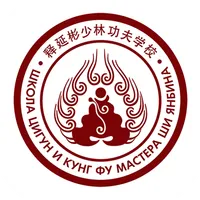 Школа Мастера Ши Янбина icon