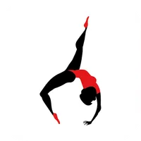 Школа стретчинга icon