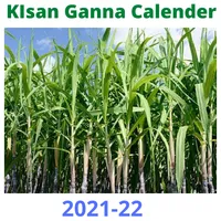 Kisan Ganna Parchi Calender icon