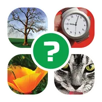 Word Quest: 4 Images 1 Answer icon