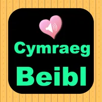 Welsh English Audio Holy Bible icon