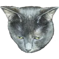 Weird Cat Sounds icon