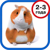 Развивающая игра детям 2-3 лет icon