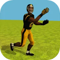 Football Simulator Rampage 3D icon