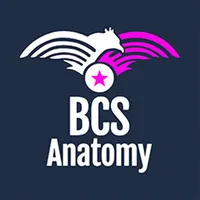 BCS Anatomy icon