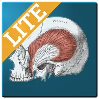 Muscle Memory Lite icon