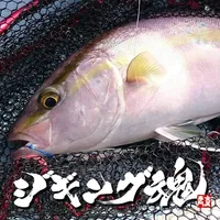 ジギング魂 icon