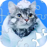 Jigsaw Puzzles, HD Puzzle Game icon