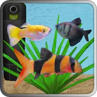 Aquarium Fish icon