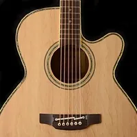 Guitar Chords and Scales icon