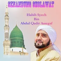 Sholawat Habib Syech Offline icon