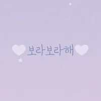 보라보라해 - 카카오톡 테마 icon