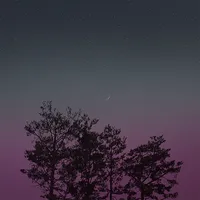 [메리골드] 미드나잇 카카오톡 테마 icon
