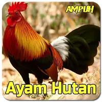 Suara Pemikat Ayam Hutan Ampuh icon