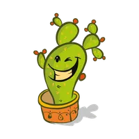 Kaktüs Sukulent icon