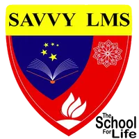 THE SAVVY SCHOOL icon