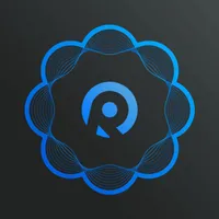 Obsidian Pro icon