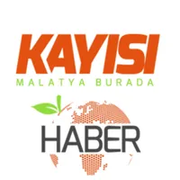 Kayısı Haber icon