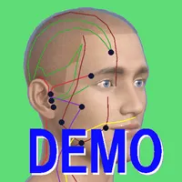 経絡ツボ検索 demo版：経穴の情報アプリ icon