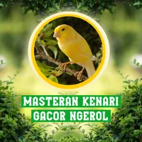 Masteran Kenari Gacor Ngerol icon