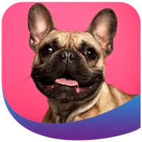 Best Pet Guides icon