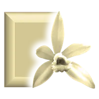 Tahitian Vanilla icon