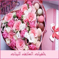 خلفيات الهاتف للبنات icon