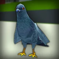 Pigeon Rampage Simulator icon