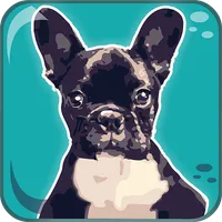 Dogs Breeds: Quiz icon