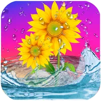 Sunflowers Live Wallpaper icon