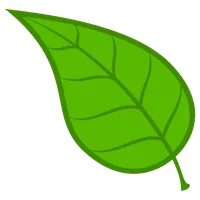 Ikawa app icon