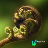 Vector: Te Kete Tikanga Māori icon