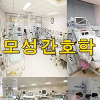 모성간호학 용어 퀴즈 100 icon